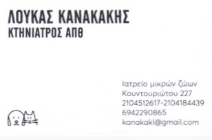 Κανακάκης Λουκάς Α.